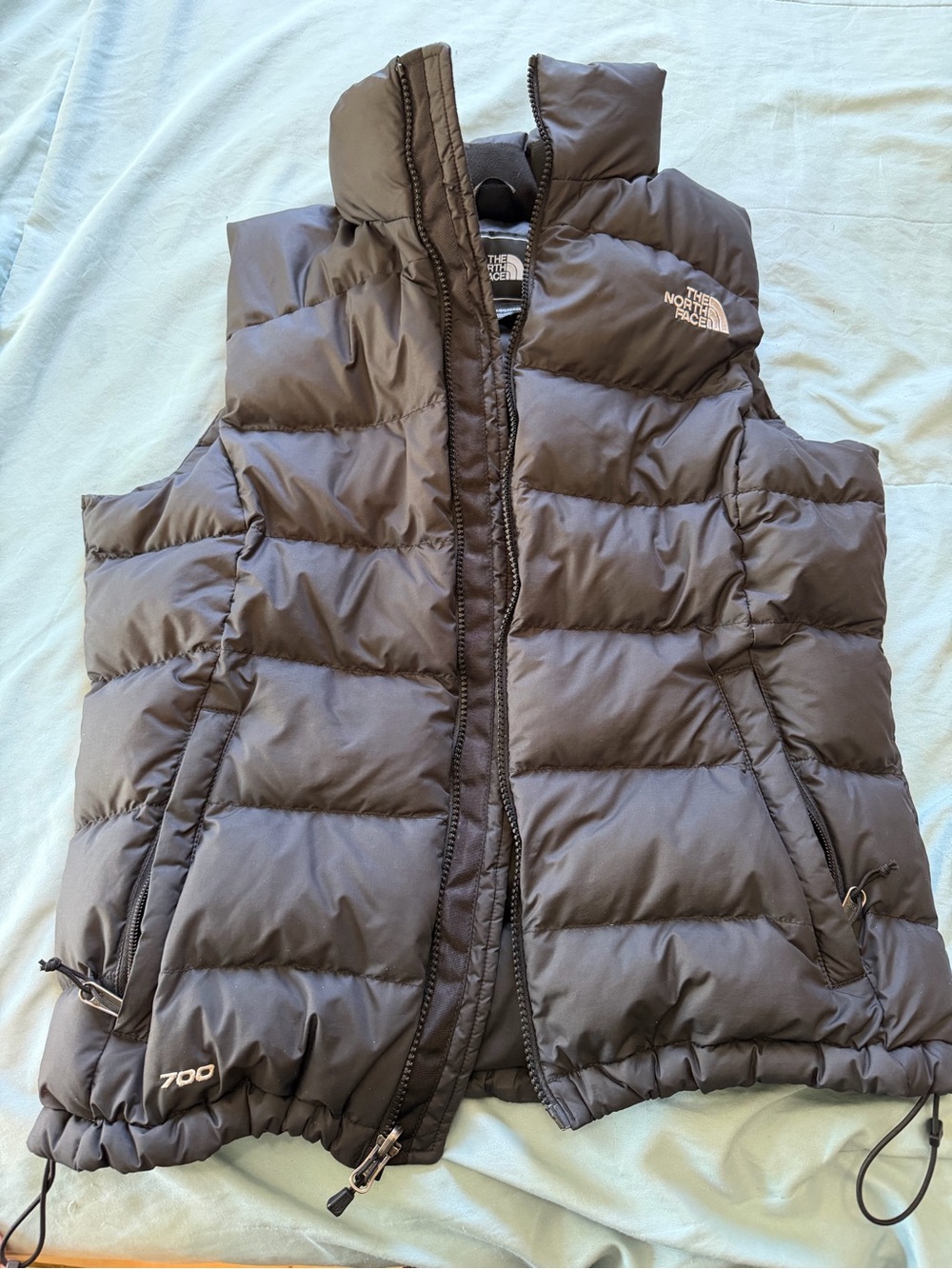 The North Face Women's Brown 700 Down Puffer Vest